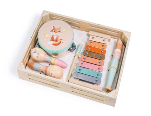 Set of musical instruments for children - animals
