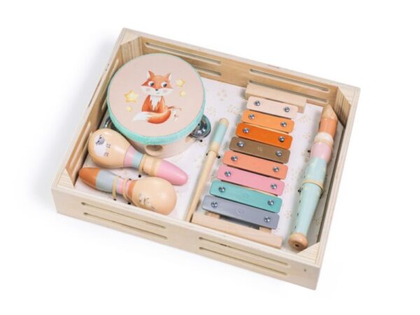 Set of musical instruments for children - animals